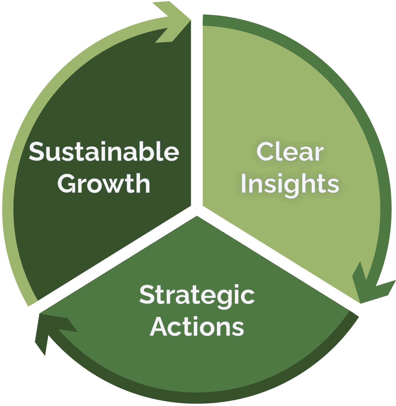 Growing Insight Our story - Infine Insight
