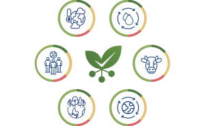 infine-insight-dimensions-graphic-768x476